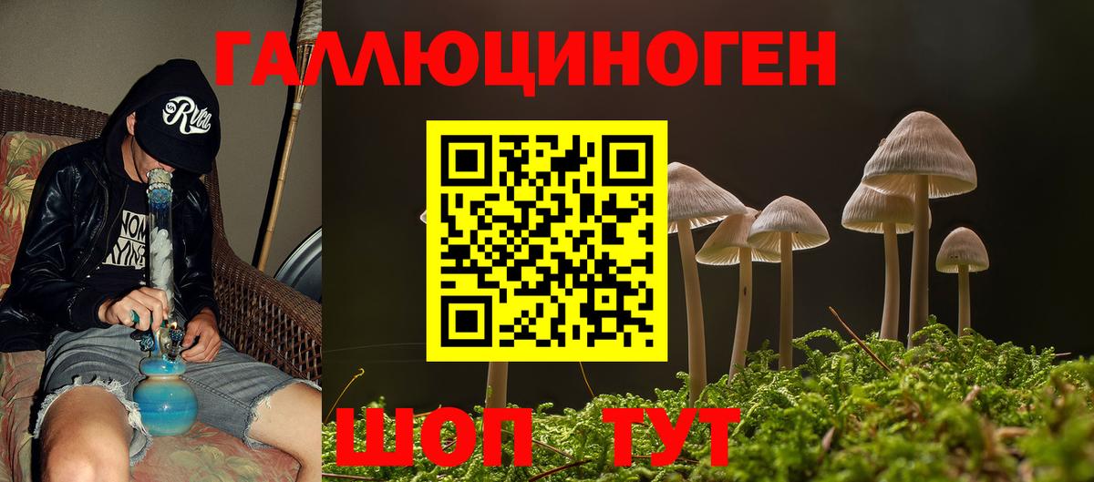 Псилоцибиновые грибы MAGIC MUSHROOMS  Вход с VPN  Магнитогорск 